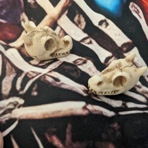 Dragon Skulls For Decoration